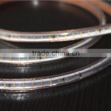 220v Led Strip 3014 Lighting for Wedding Decoration photo-4