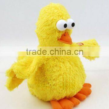 singing chick with nodding head,flapping and moving tail