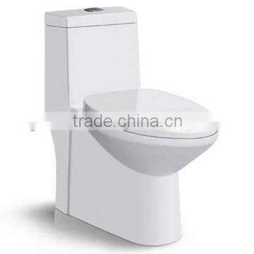 China Sanitary Product Ceramic Toilet