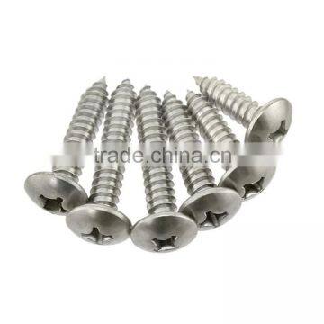 Stainless Steel Cross Flat Head Tapping Screw Thumb Head Tapping Screw photo-2