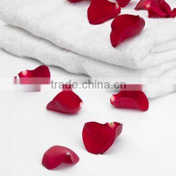 China Supplier Factory 100% Australia Hotel Towel