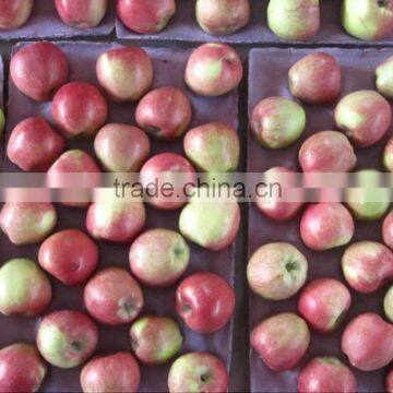 fresh red star apple /pome /huaniu aoole