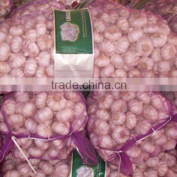 garlic supplier