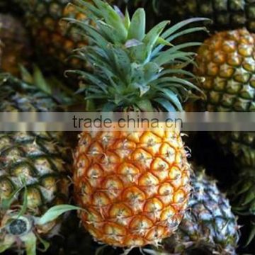 THAI FRESH PINEAPPLE