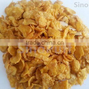 High Quality Breakfast Flavoring Machine/Breakfast Flavoring Machine/Corn Flakes Flavouring Machine photo-4