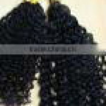 Brazilian virgin hair curly