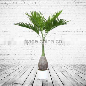 Artificial Bottle Palm