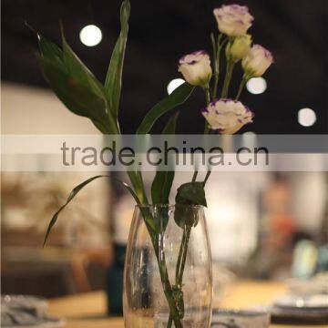 Handmade Different Shaped Chinese Glass Flower Vase for Home Decoration