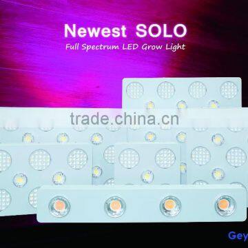 Solo Max Newly Launched Modular Design Solo Led Grow Light 1200w With Full Spectrum
