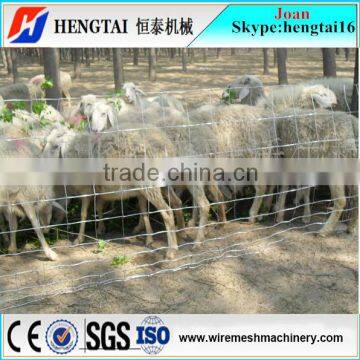 Animal Grazing Use Wire Mesh Fence Machine