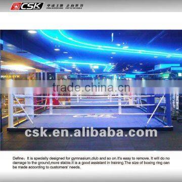 5m Simple Small Mini Boxing Ring for Kids photo-2