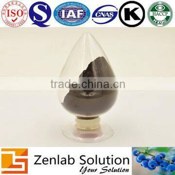 Natural Cranberry Extract, Cranberry Extract Blood Capillary Care, Cranberry Extract Eye Strain