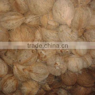 Organic Coconuts Exporter photo-2