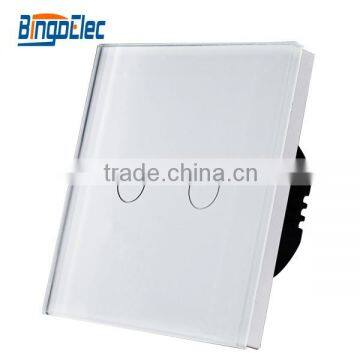 EU/UK 2 gang toughened glass panel remote control light switch