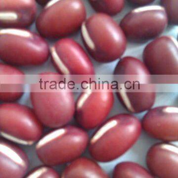 Adzuki Bean ( Heilongjiang origin,2010 crop,hps)