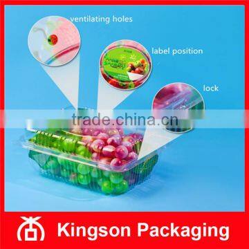 Disposable Transparent Plastic Box for Fruit
