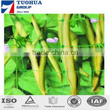 Square Hole Cucumber Plant Support Net,Pea Climbing Netting