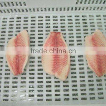 Frozen tilapia fillet