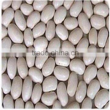 White Kidney Bean photo-2