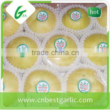 Mytext Chinese bulk golden pear