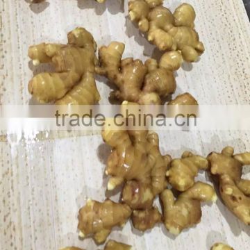 Chinese Ginger Seeds for Sale