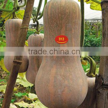 Hybrid pumpkin seeds chinese vegetable seeds for sale 312