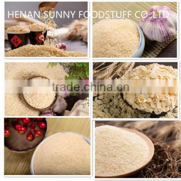 2016 Top Quality Garlic Flakes Factory Supply