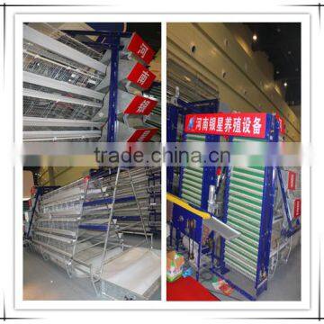 Automatic egg collection machine on farm