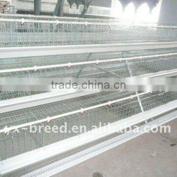 High quality chicken cage for layer