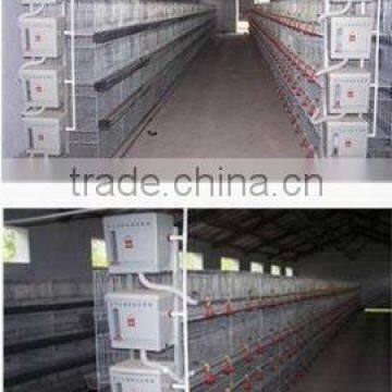 wholesale broiler cages for sale