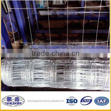 Corrosion Resistant horse farm fence made in china