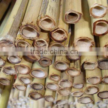 WY-221High Quality Bamboo Poles Bamboo Canes Bamboo Stakes in Raw Materials for Agriculture photo-2