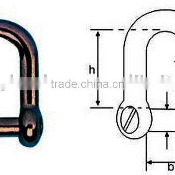 Stainless steel straight(D)shackle with screw driver counter sunk screw pin(Marine hardware)