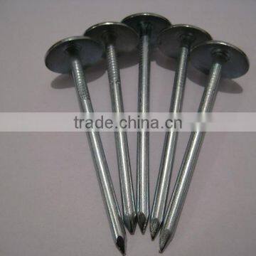 Umbrella Head Roofing Nails photo-5