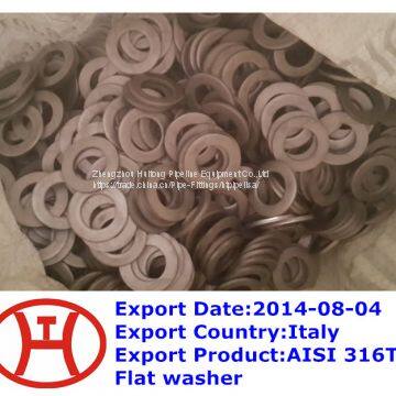 ANSI 316Ti Flat Washer