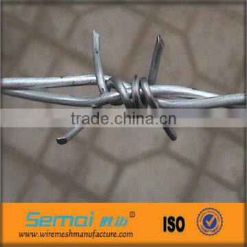 export quality electro galvenized Barbed wire ( factory )