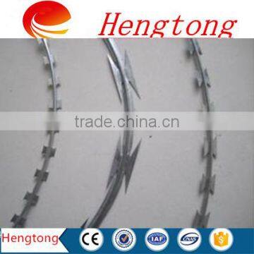 Top quality with bottom price galvanized razor barbed wire Blade Barbed Wire, Razor Wire For Sale, Razor barbed Wire