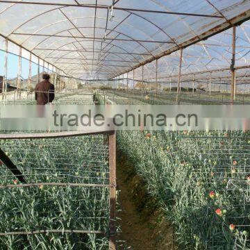 Anti-drip, Anti-fog, Single Span Blowing Agriculture LDPE Trasparent Plastic Film for Vegetable Greenhouse photo-4