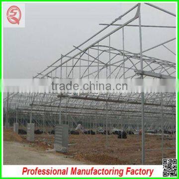 Hot Sale Multi-span Plastic 9.6m PE Plastic Film Agriculture Greenhouse for Garden photo-4