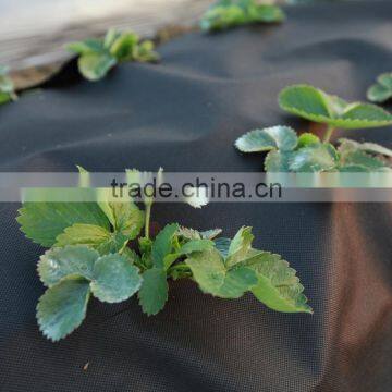 Spunbond Nonwoven Fabric photo-4