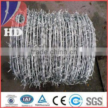 galvanized razor barbed wire with best service