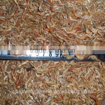 2mm Microwave Dired Shrimps For Pet Food ; Red Dried Shrimps photo-3