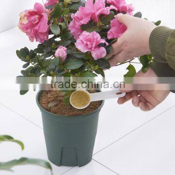 Plastic Measuring Spoon (1set With 5pcs) photo-6