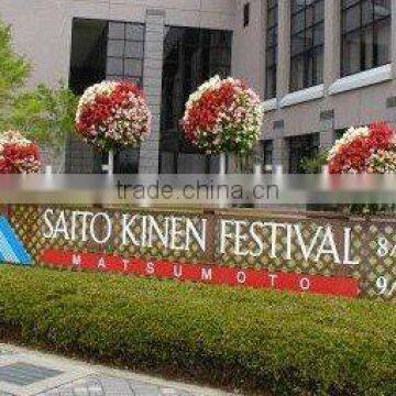 SOL 2015 Good-quality Ball Planter Plastic Ball Green Ball Planter photo-4