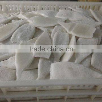 EU Stand Squid Tube Frozen photo-2