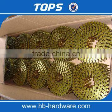 China Tops Coil Nails for Pallets Price photo-6