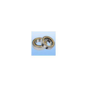 Single Row Ball Roller Bearing
