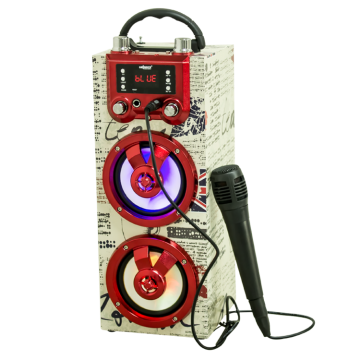 BT Wooden Power Karaoke Speaker with Colorful Display and LCD Screen