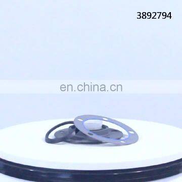 3892794 Oil Seal for Cummins Cqkms M11-350E M11diesel Engine Spare Parts Manufacture Factory in China