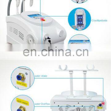 Renlang Weight Loss Machine Series Portable Fat Freezing Slimming Machine photo-5